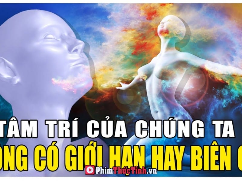 Có Một Ý Thức Vĩ Đại Kết Nối Giữa Tâm Trí Chúng Ta Với Vạn Sự Vạn Vật Trong Vũ Trụ