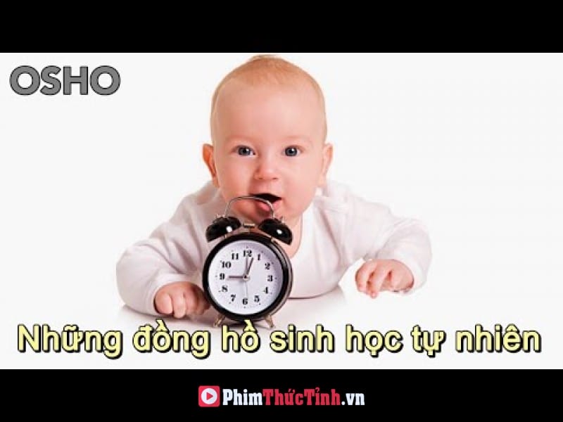 Thuận Theo Đồng Hồ Sinh Học Tự Nhiên Của Trẻ Nhỏ