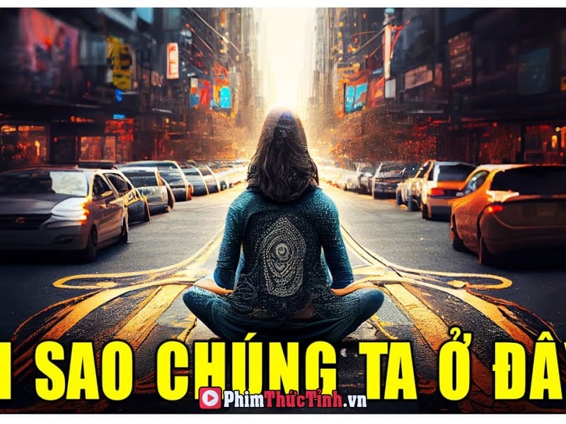 Tại Sao Chúng Ta Sinh Ra? Chúng Ta Có Thật Sự Đạt Được Thứ Gì Trên Cõi Đời Này?