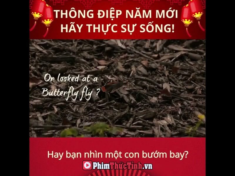 Sadhguru: Thông Điệp Năm Mới Từ Sadhguru