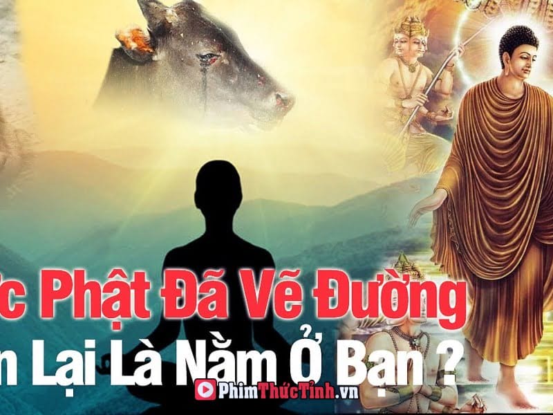 Bát Chánh Đạo - Con Đường Dẫn Tới Chấm Dứt Khổ Đau - Giáo Pháp Đức Phật