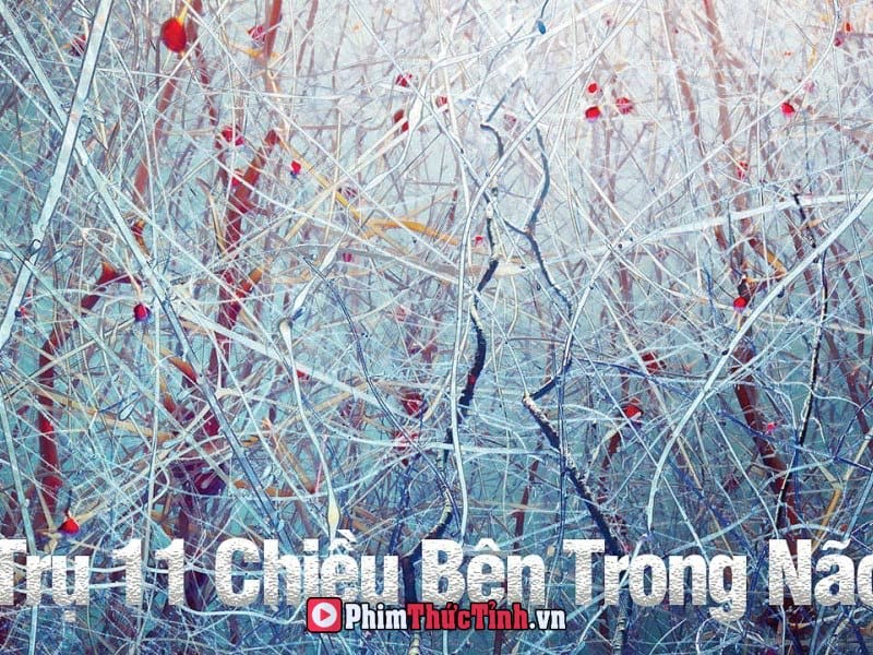 Phát Hiện Chấn Động Của Các Nhà Khoa Học - Tồn Tại Vũ Trụ Đa Chiều Bên Trong Não Người