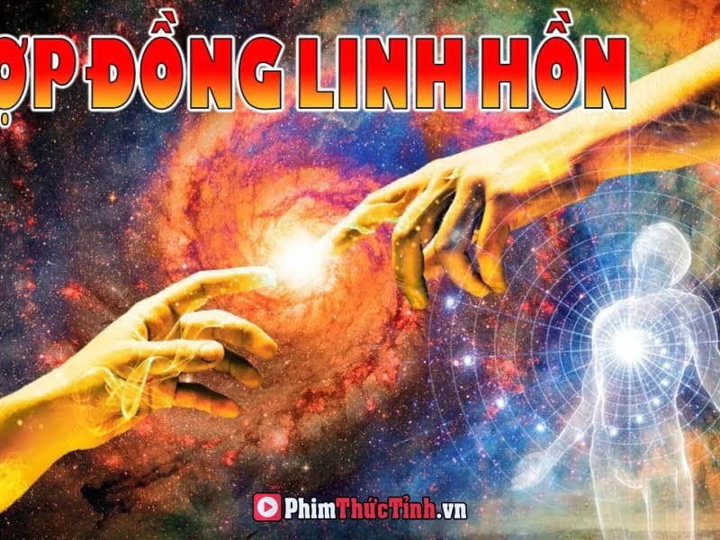 Hợp Đồng Linh Hồn Là Gì Và Chúng Ảnh Hưởng Như Thế Nào Đến Mối Quan Hệ Của Bạn?