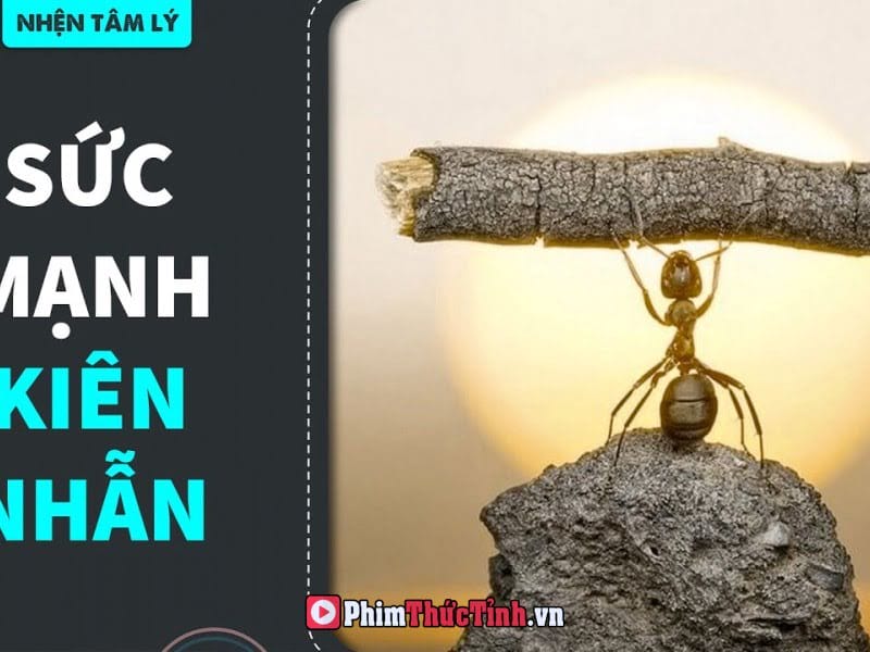 Sức Mạnh Của Sự Kiên Nhẫn