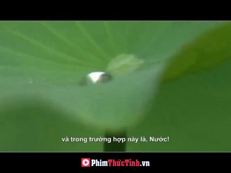 Khoa Học Tâm Linh Phần 20: Nước