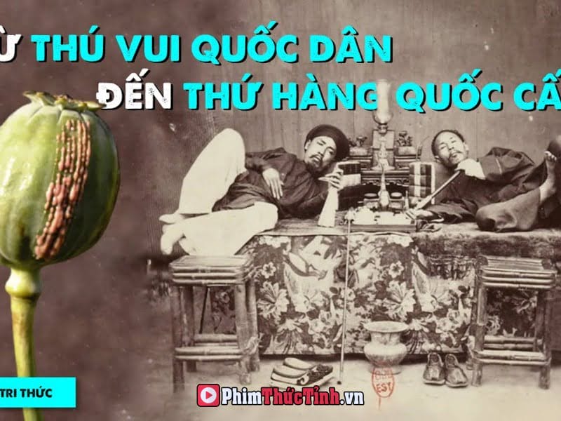 Tất Tần Tật Về... Thuốc Phiện