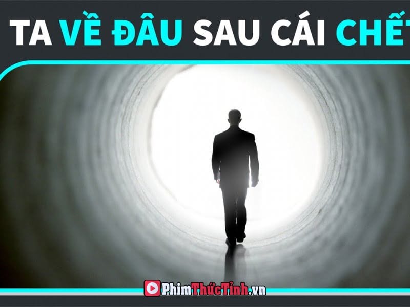 Sau Cái Chết, Chúng Ta Đi Đâu?