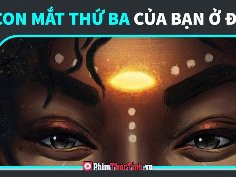 Sự Tồn Tại Của Con Mắt Thứ Ba!