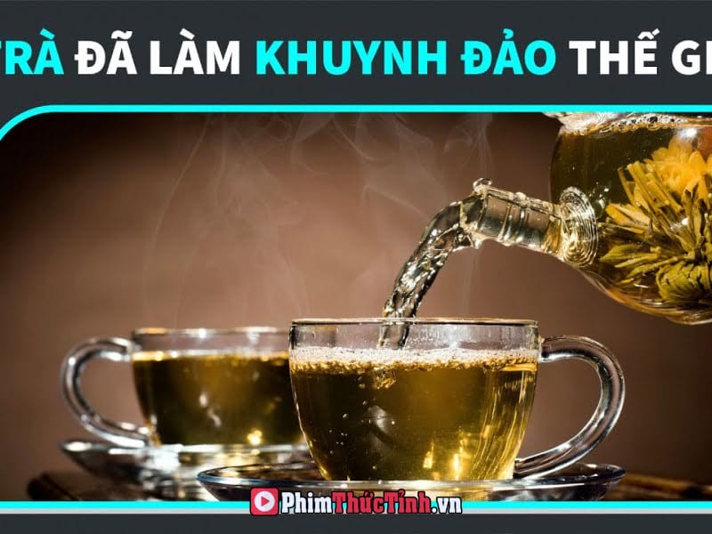 Trà - Thứ Đồ Uống Quyền Lực Nhất Thế Giới