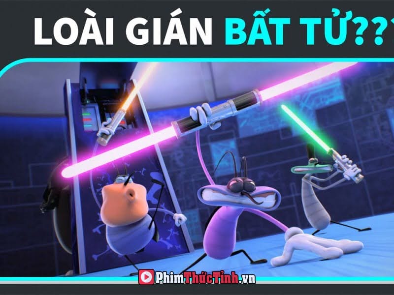 Bí Mật Về Loài Gián