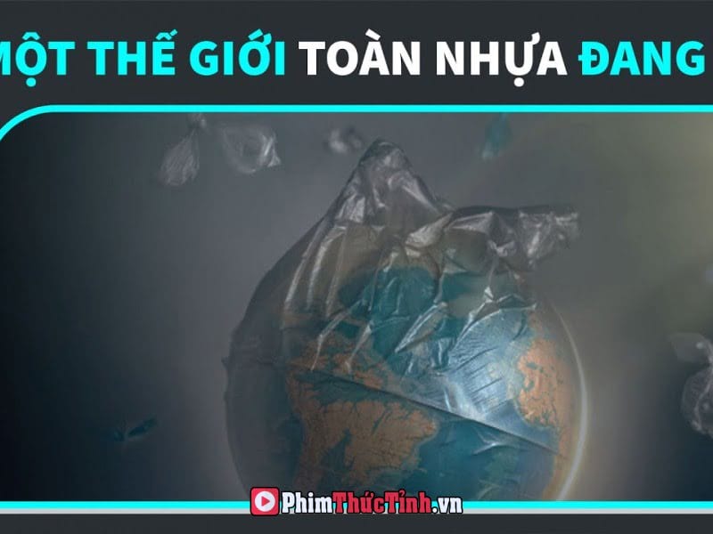 Nhựa Đã Xâm Chiếm Thế Giới Như Thế Nào?