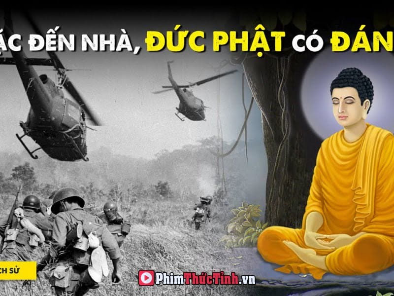 Quan Điểm Về Chiến Tranh Của Phật Giáo Là Gì? (Việt Nam & Nhật Bản)