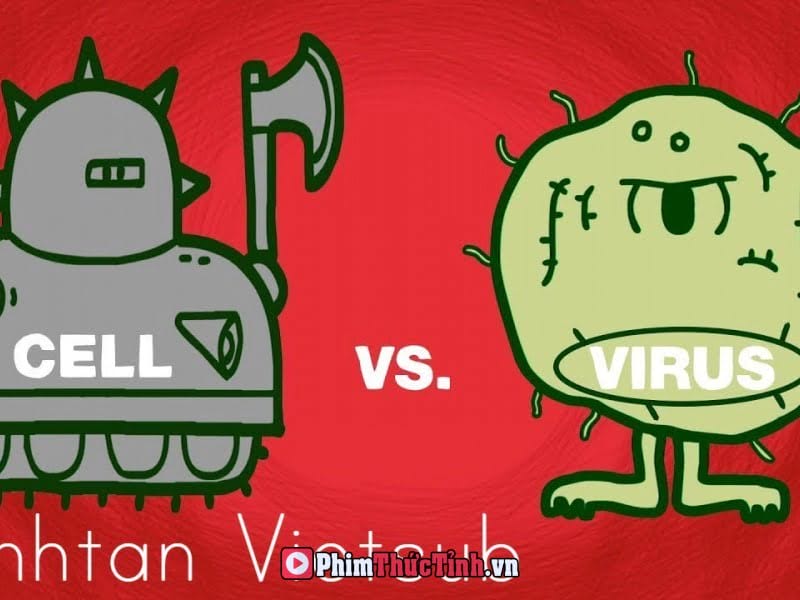 Tế Bào Vs. Virus: Trận Chiến Vì Sức Khỏe