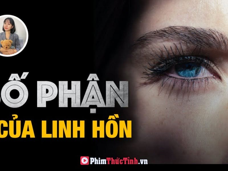 Quá Trình Sắp Xếp Cho Linh Hồn Trước Khi Đầu Thai