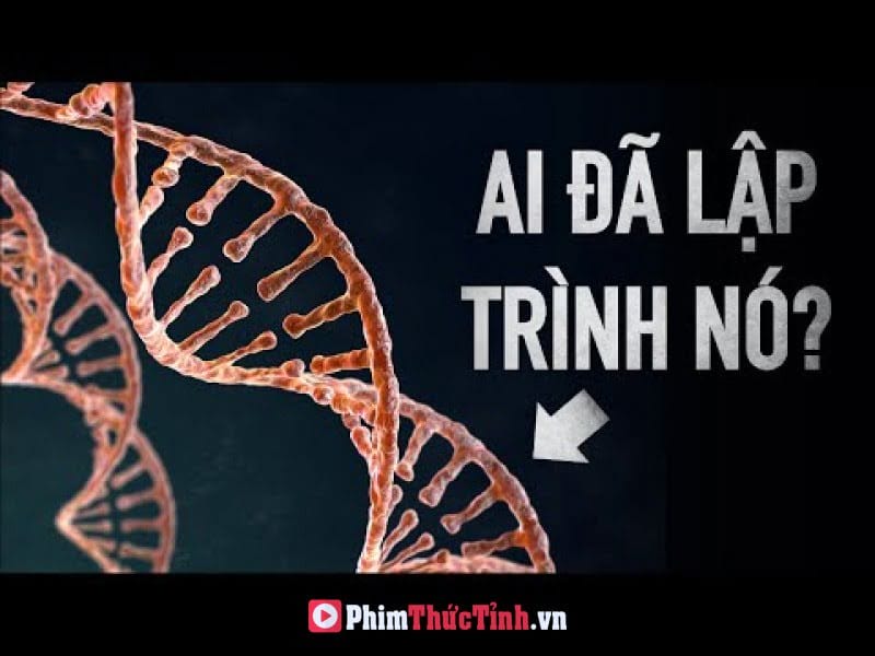 Khoa Học Gia Phát Hiện Trí Tuệ Sinh Mệnh Cao Tầng Trong 3 Tỷ Mã Dna?