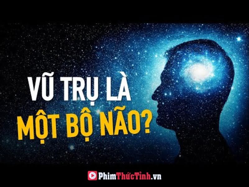 Chẳng Lẽ Chúng Ta Đang Sống Trong Bộ Não Của Sinh Mệnh Khổng Lồ?