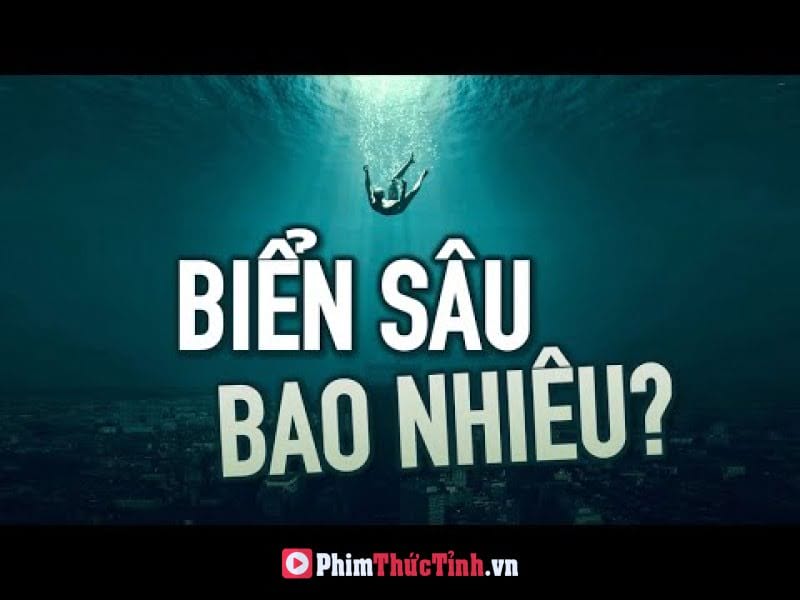 Nơi Sâu Thẳm Dưới Đáy Đại Dương Náo Nhiệt Quá Sức Tưởng Tượng Của Bạn