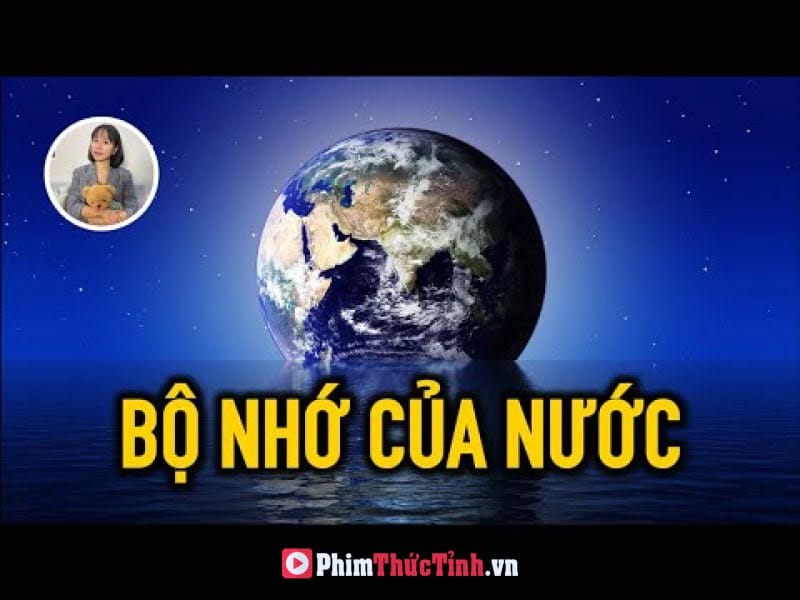 Bạn Đã Bỏ Lỡ Quá Nhiều Vì Không Hiểu Nước?