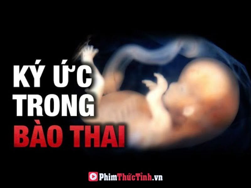 Bạn Có Chắc Mình Không Có Những Ký Ức Này?